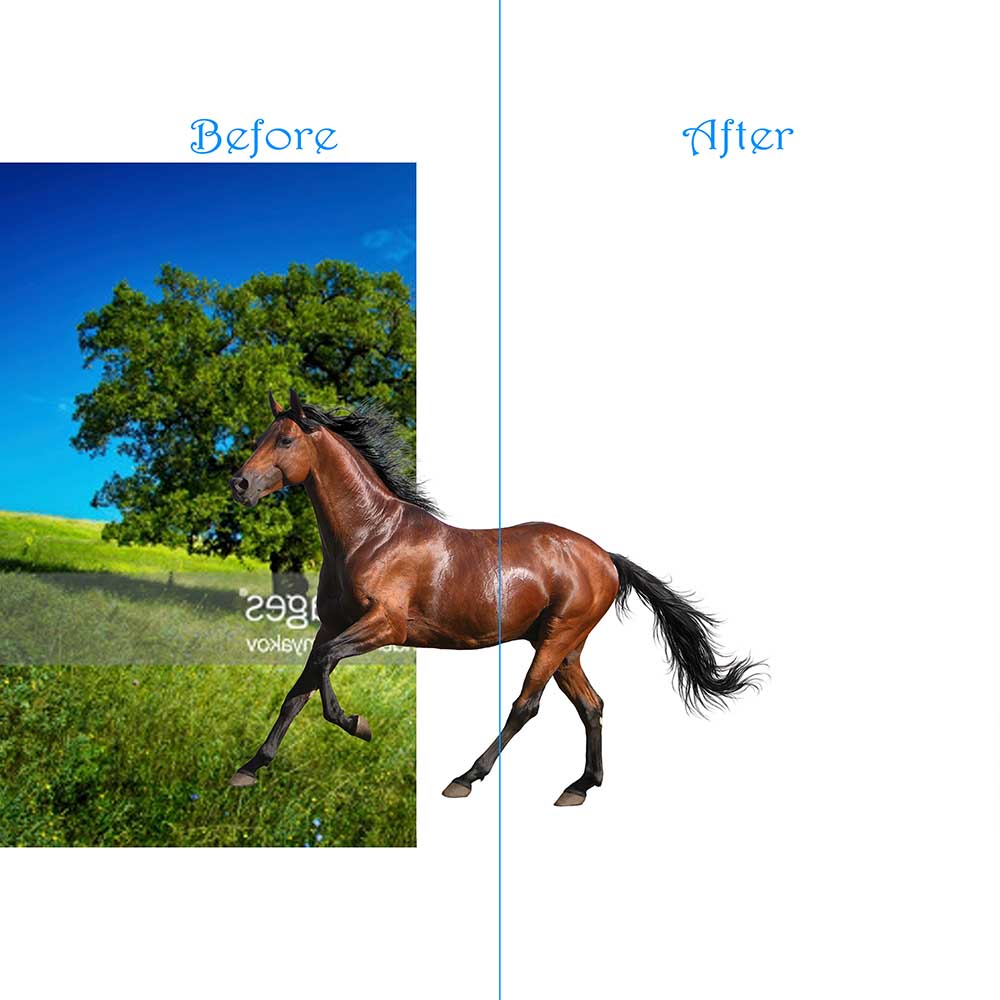 clipping path vs clipping mask